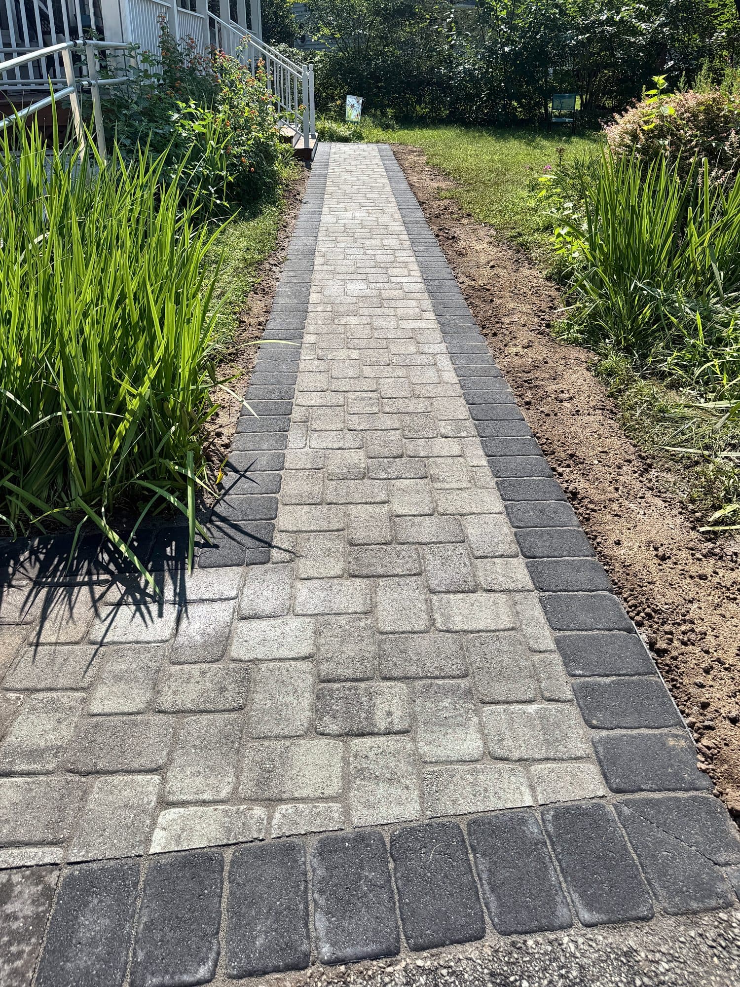Straight paver front walkway with a charcoal border running between planting beds.